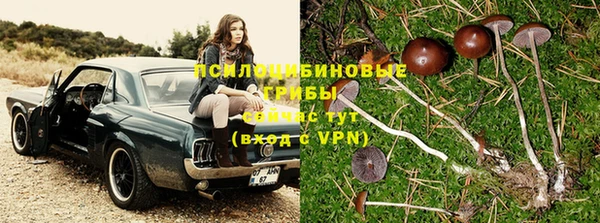 apvp Мегион