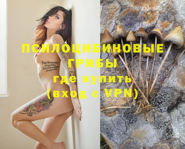 дистиллят марихуана Медногорск