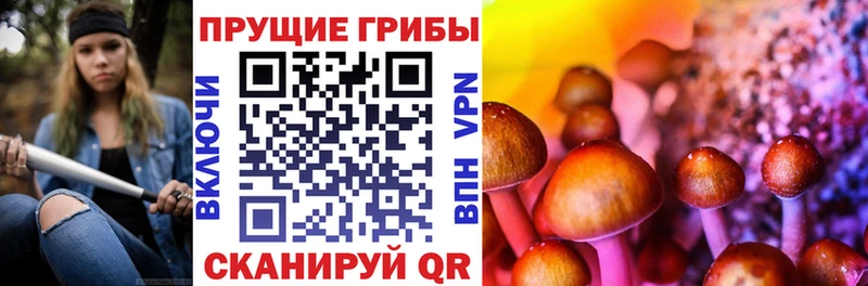 Галлюциногенные грибы Cubensis Купить где Междуреченск